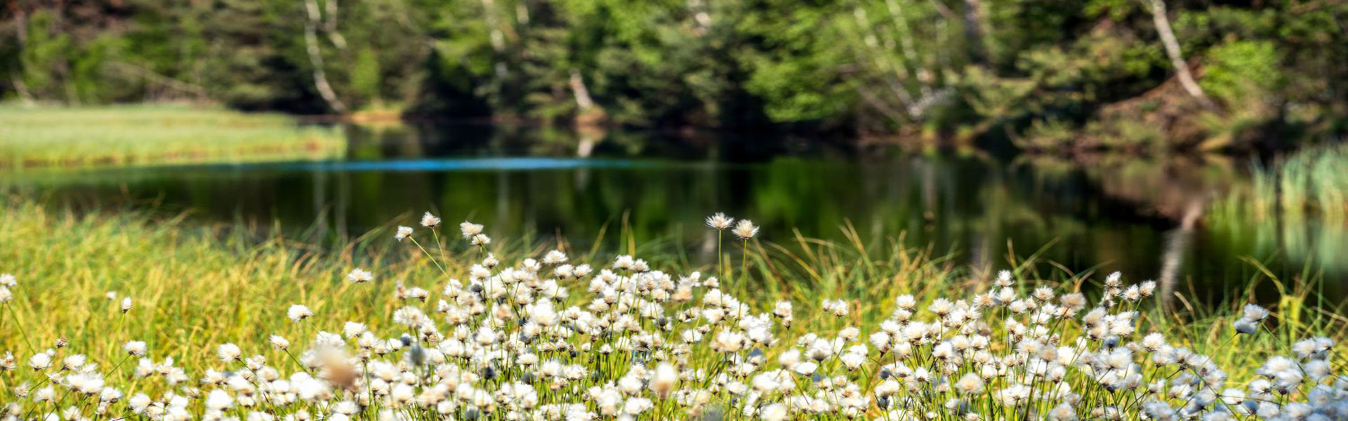 Header Hattenhofen (010)