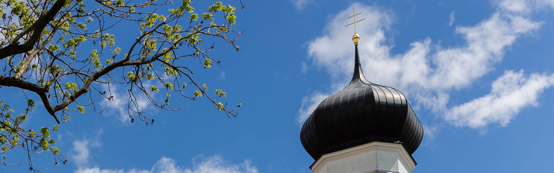 Header Adelshofen (005)