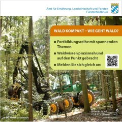 Wald kompakt Wald kompakt